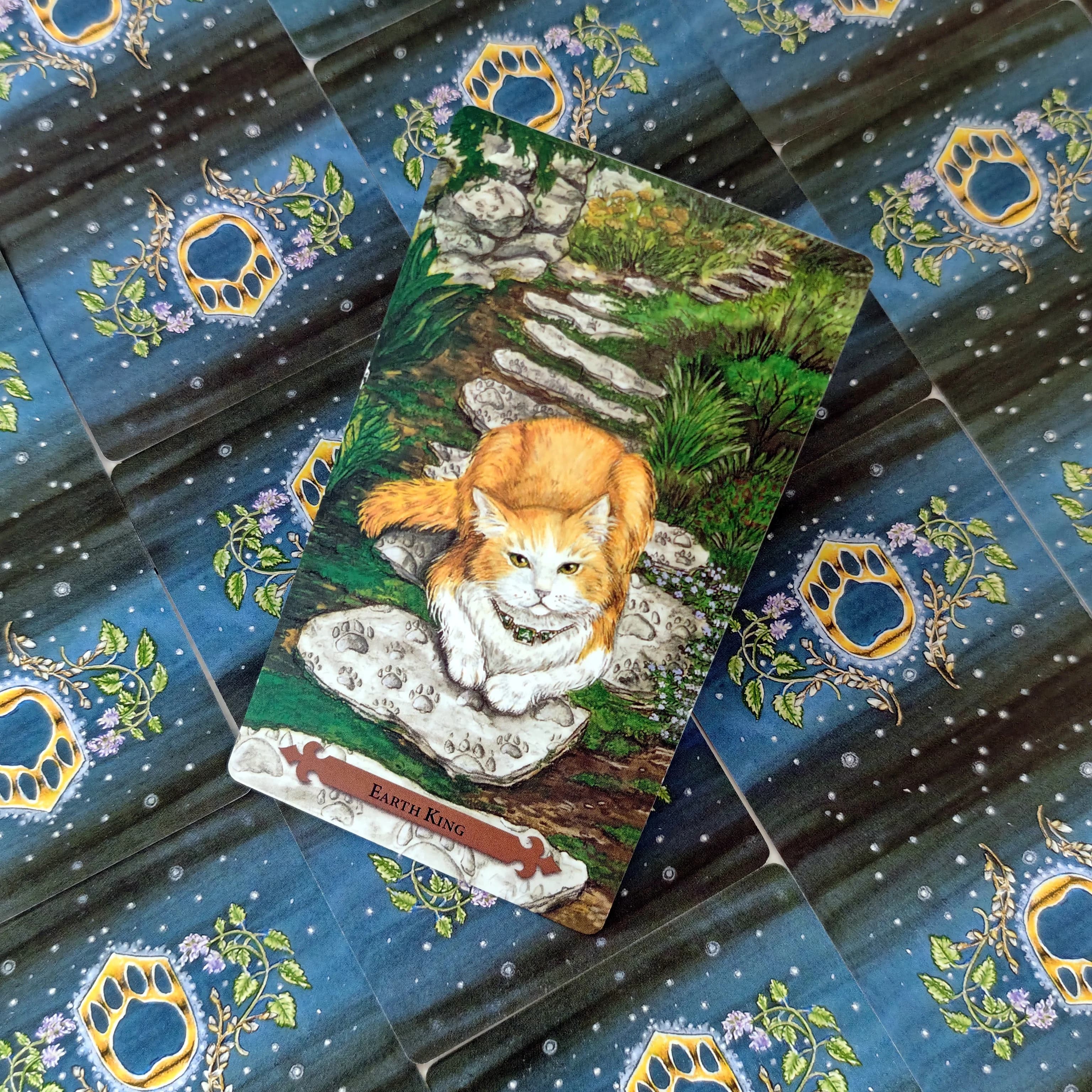 Carte dei tarocchi del gatto mistico 12x7 cm Un mazzo da 78 Oracle Visioni inglesi Divinazione Edizione Borad Giocare a giochi