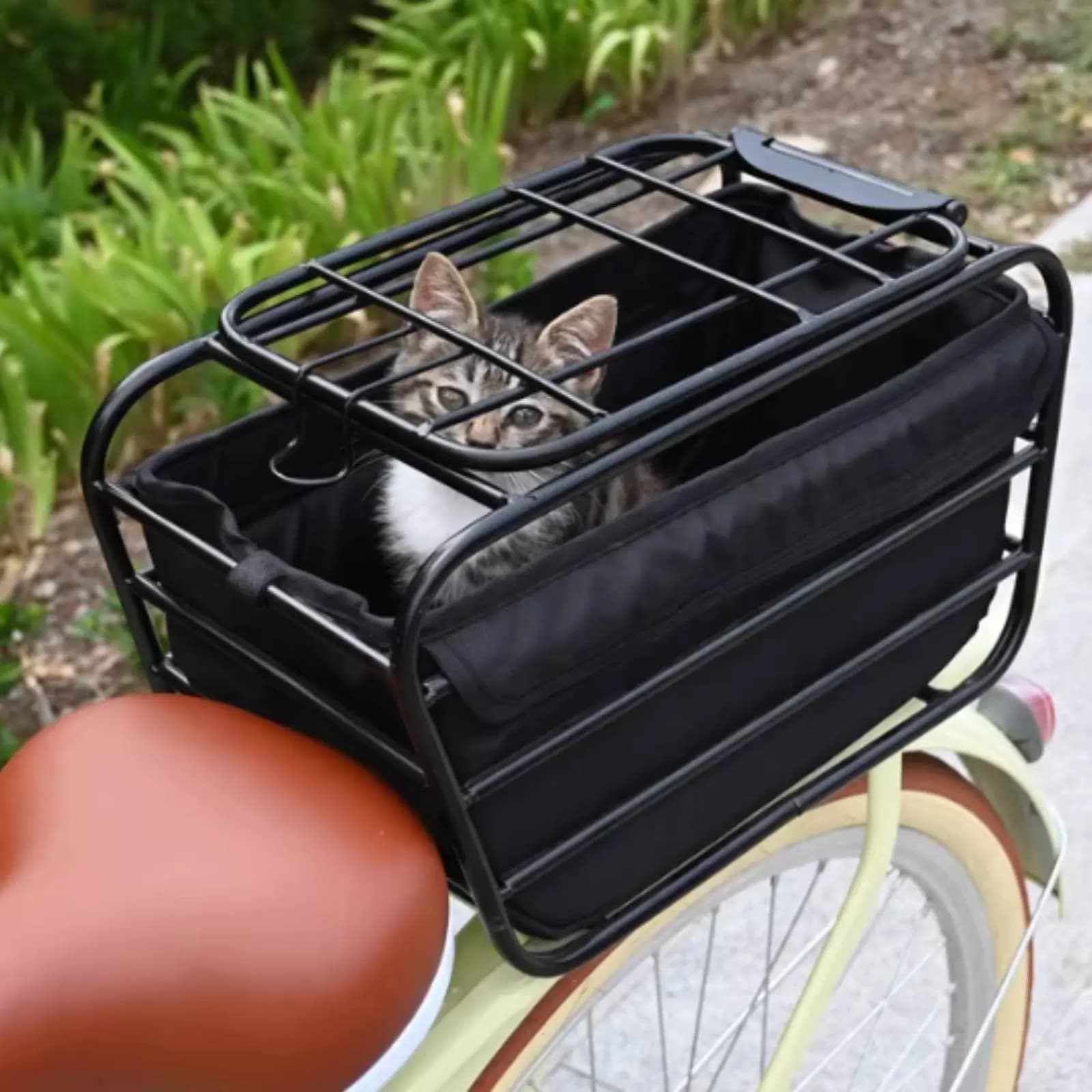 Trasportino per Cani da Bicicletta, Robusto Cestino Portaoggetti Posteriore, Design Pieghevole Versatile per Studenti