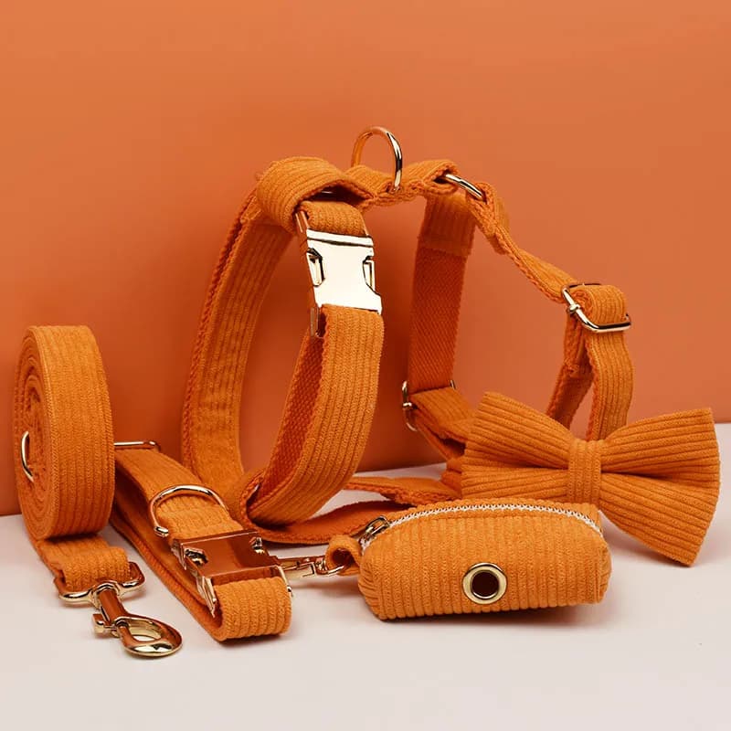 Set di collare e guinzaglio per cani in velluto a coste arancione, con targhetta incisa personalizzata, accessori per animali domestici, guinzaglio per cani in velluto a coste11
