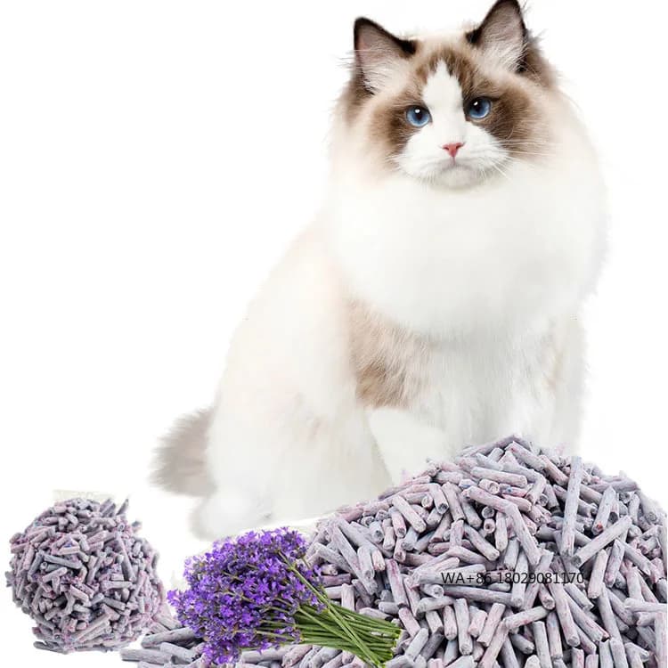 Assorbimento Deodorante efficiente Solubile Tofu naturale Lettiera per gatti Tofu lavabile Lettiera per gattini Fabbrica personalizzabile Senza polvere Alta