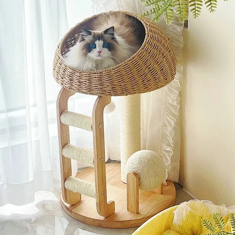 Legno massello Gatto Arrampicata Nido Albero Sisal Colonna Capsula Scaffale per gatti Piano superiore Giocattolo per animali domestici Prodotti per mobili BB179SQ