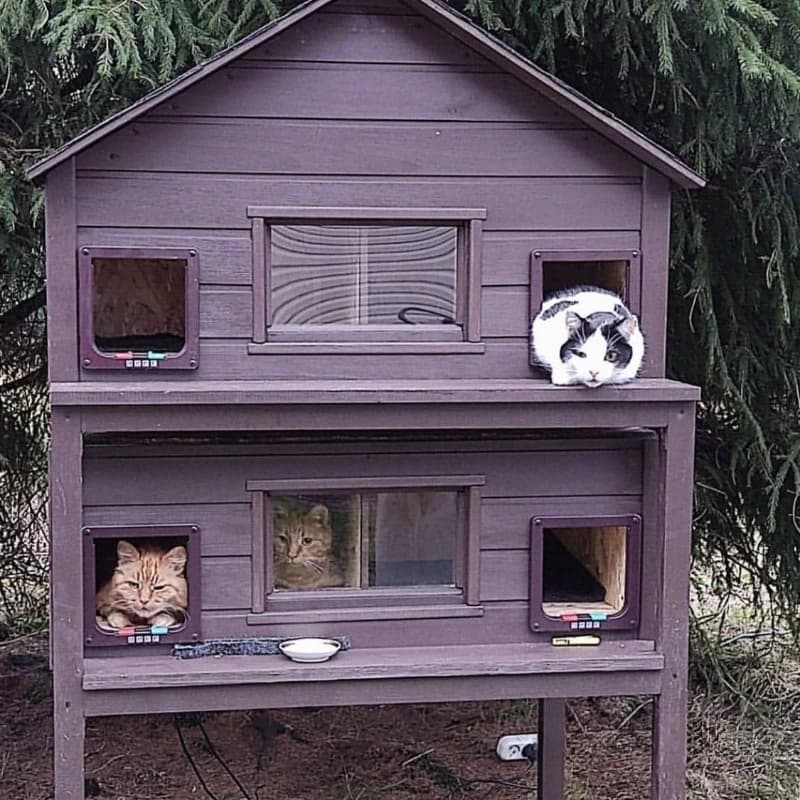 Cuccia per gatti da esterno in cotone, impermeabile e resistente al freddo, per cortile.
