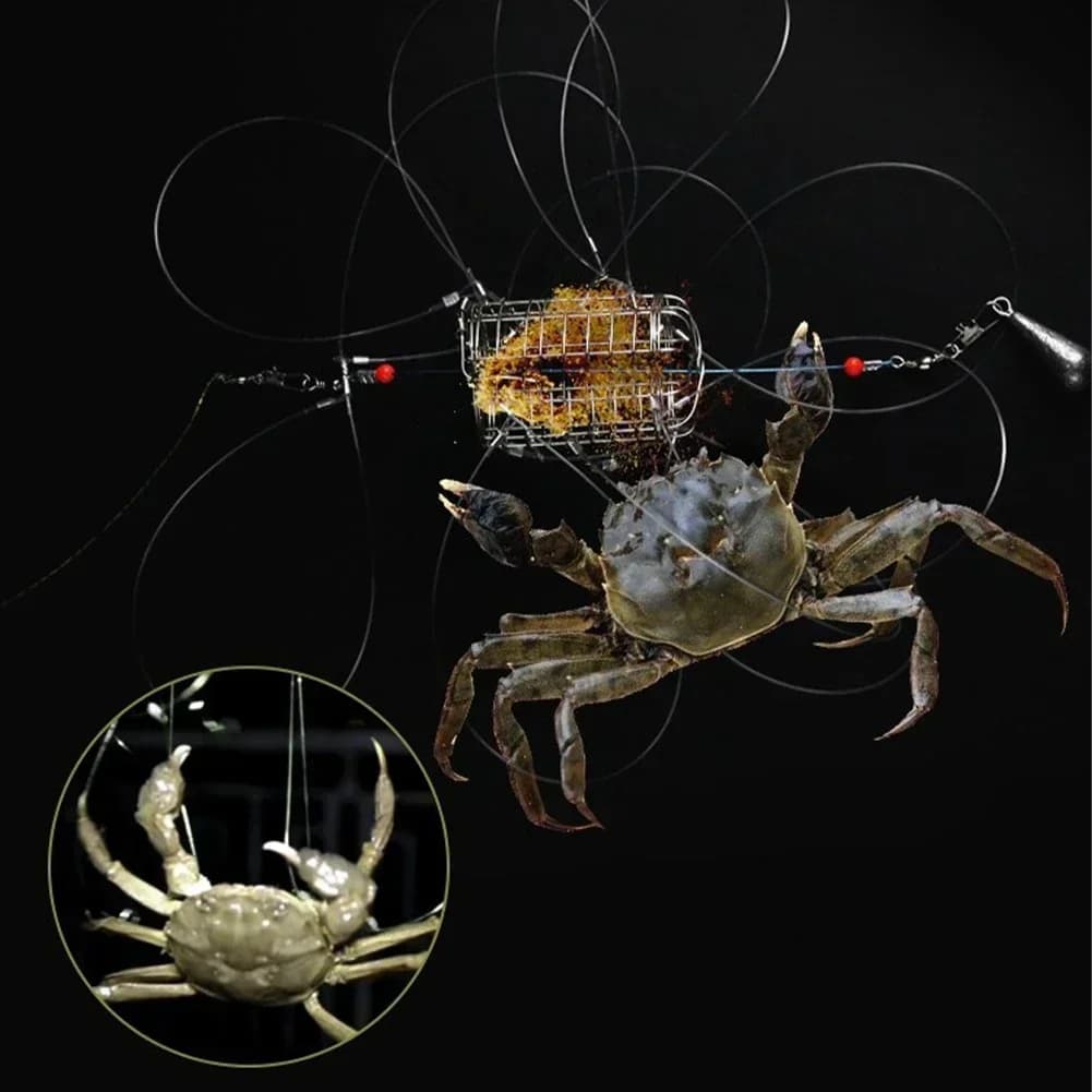 Trappola per Granchi in Acciaio Inossidabile, Gabbia per Esche, Alimentatore per Pesci, Attrezzatura da Pesca, Adatta per Granchi, Gamberi e Gamberetti