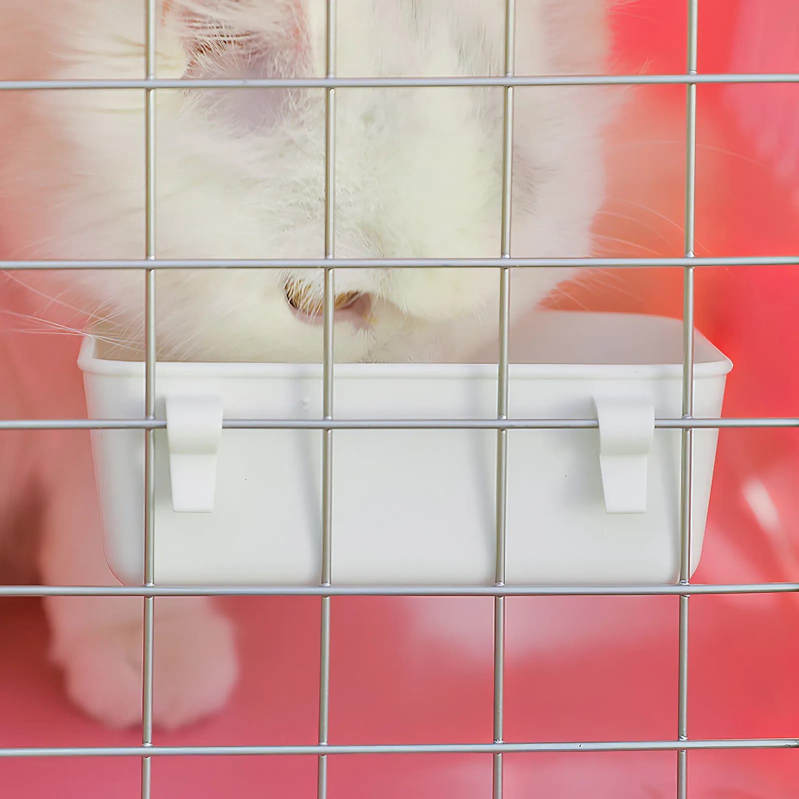Set di 3 Ciotole per Pappagalli, Contenitore per Cibo in Plastica Resistente per Gabbie, Uso Multiuso per Animali, Pratico Accessorio per l'Alimentazione