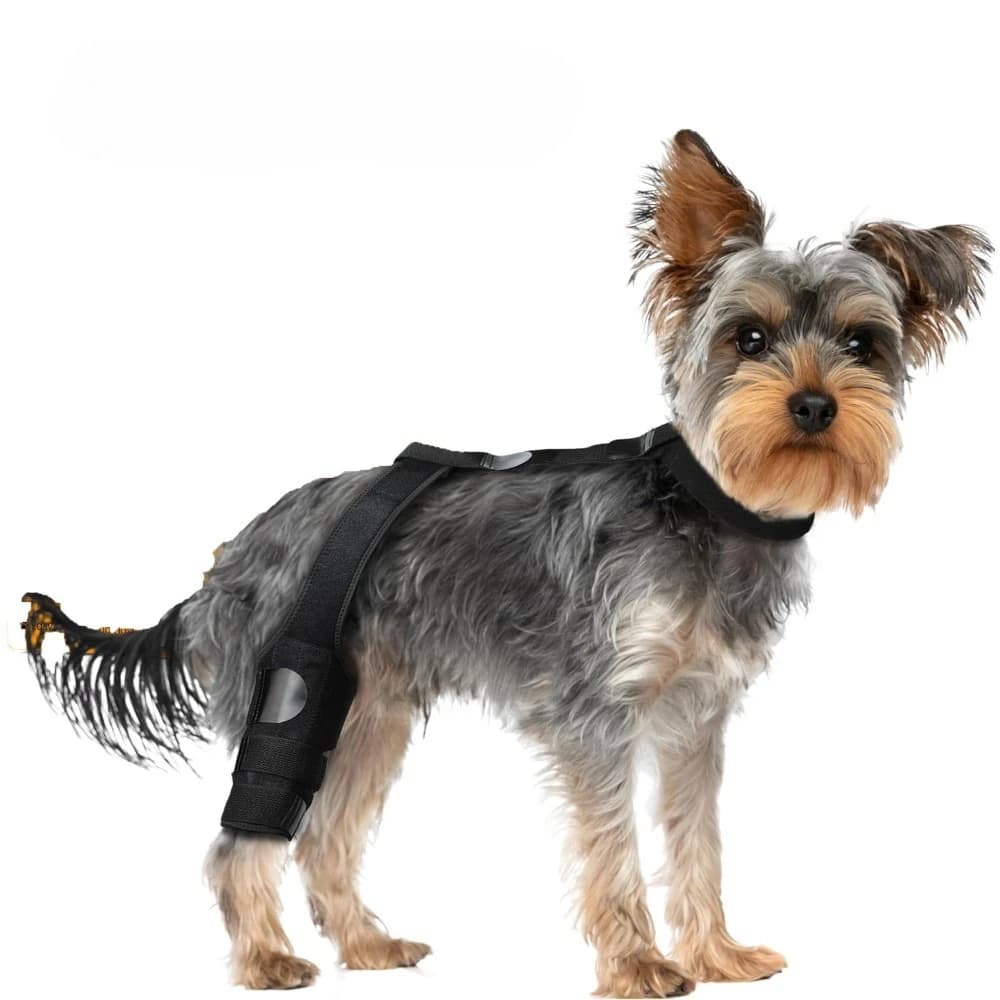 Breathable Dog Knee Brace Support for ACL Recovery Better Leg Recovery Pet Braces Post-Injury Surgery Dog Accessories