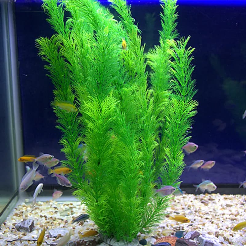 30 cm Acquario Acqua artificiale Erba Verde Morbido Pianta finta Sicuro Non tossico Acquari d'acqua dolce e Decorazione paesaggistica Aquascaping