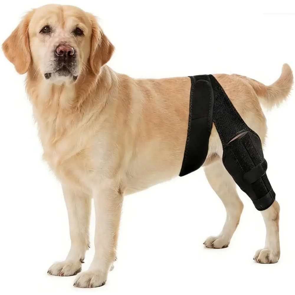 Supporto per Ginocchio di Cane per Lesioni al LCA, Ortesi Regolabile per Gamba di Cane con Stabilizzatori Laterali, Supporto per 4 Arti