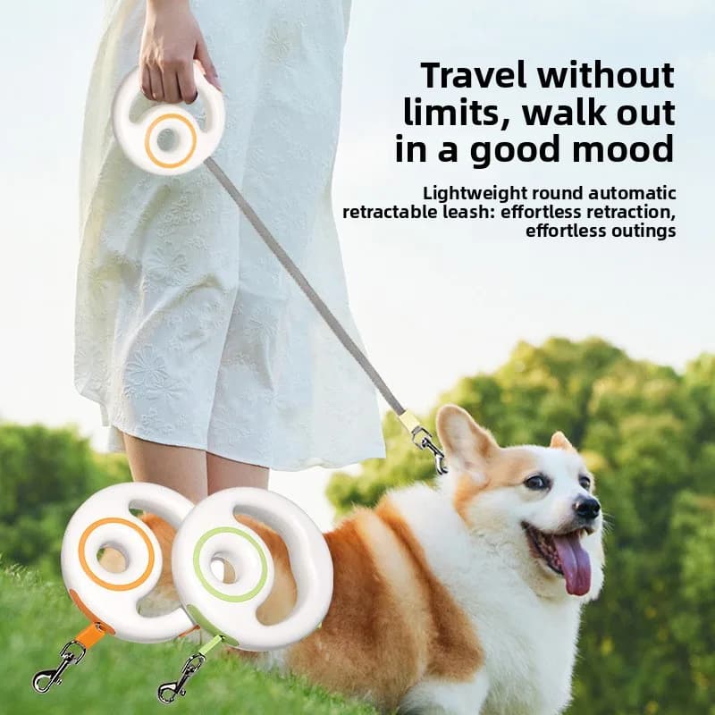Nuovo Guinzaglio per Cani in Nylon, Corda Retrattile Automatica Estensibile per Passeggiate e Corsa, Adatto per Cani Piccoli e Grandi e Gatti