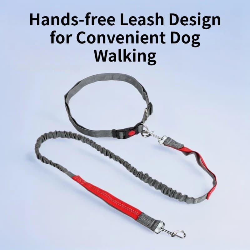 Guinzaglio Elastico Multifunzione per Cani, Cintura a Mani Libere per Corsa e Passeggio, con Cinghia Regolabile