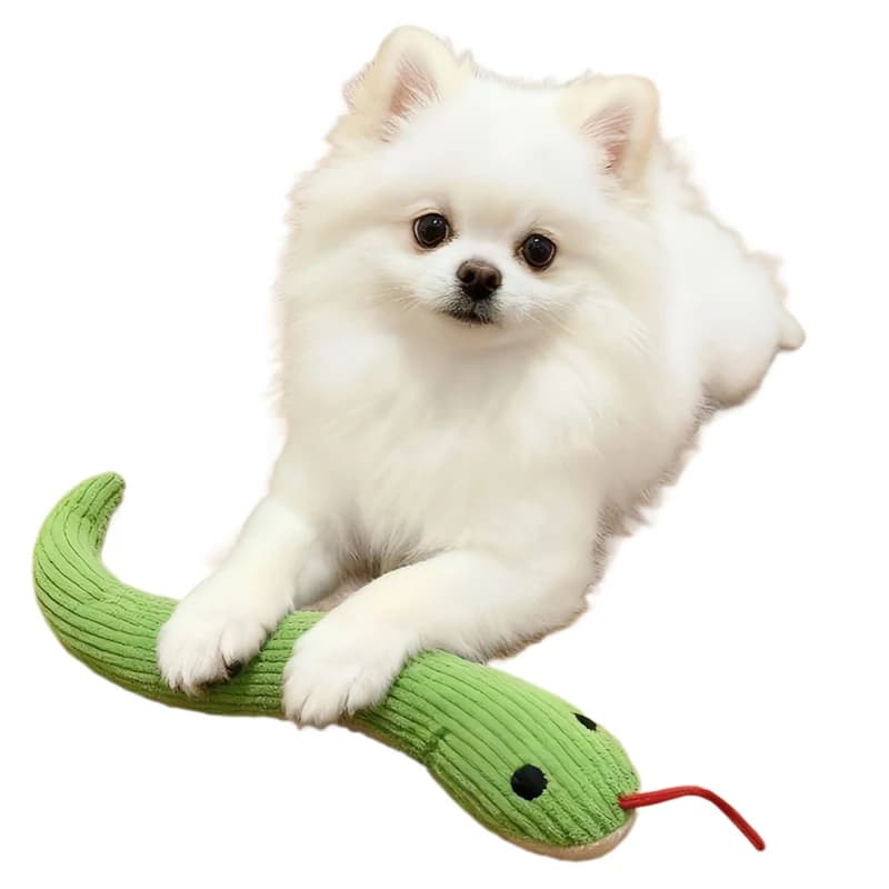 Giocattolo per Cani a Forma di Serpente, Giocattolo Interattivo Sonoro con Effetto Sfrigolio, Giocattolo Interattivo per Gatti da Interno, 16,5 Pollici, Articoli per Animali Domestici