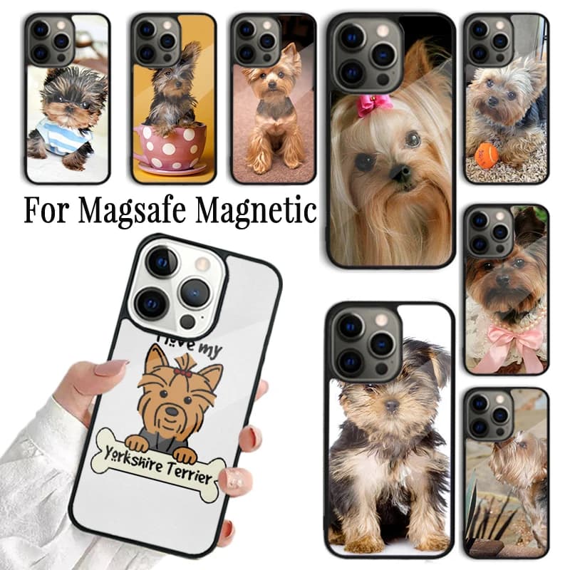 Cover per iPhone con design Yorkshire Terrier (Yorkie) - Custodia magnetica Magsafe per iPhone 17 AIR 16 15 14 13 12 11 Pro Max Plus