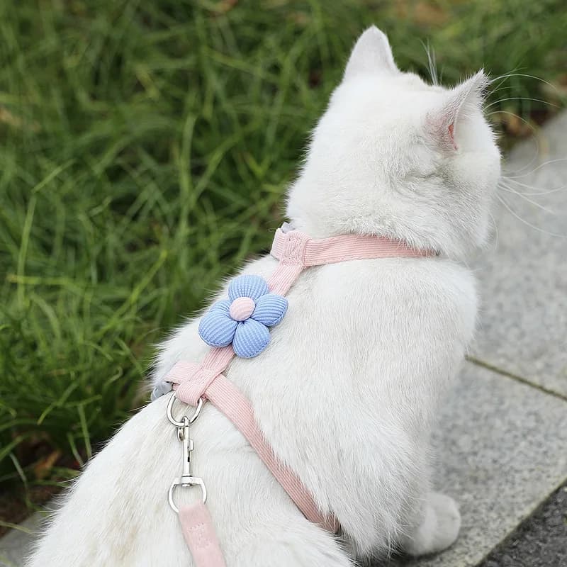 Cute Cartoon Dog & Cat Harness & Leash Set, H-Style Escape-Proof Pet Vest, Adjustable Walking Gear for Small Dogs & Poodles