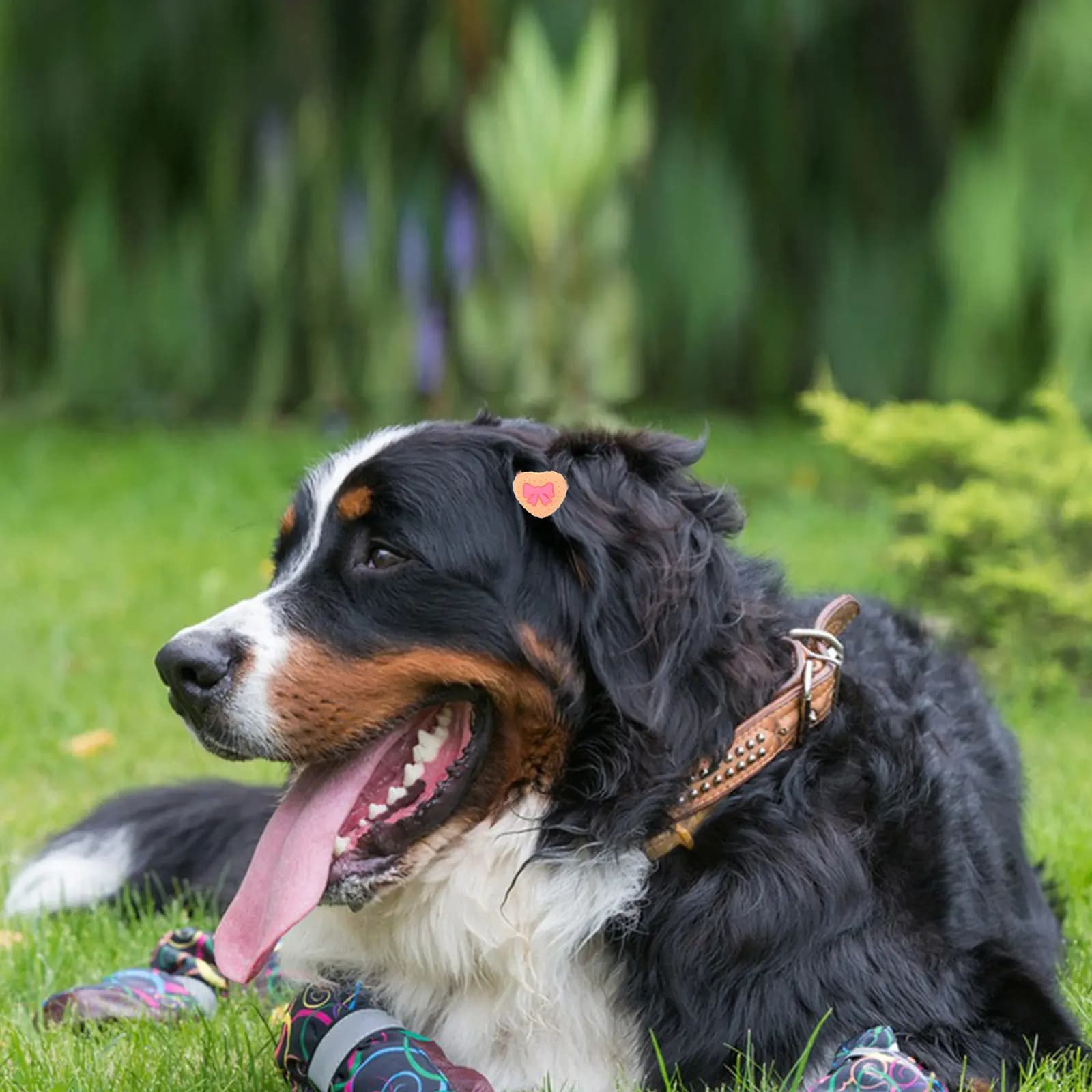 10 Pezzi Accessori per Animali Domestici, Elastici per Capelli per Cani a Pelo Lungo, Cuccioli, Coda di Cavallo, Elastici per Capelli a Forma di Animali Cartoon