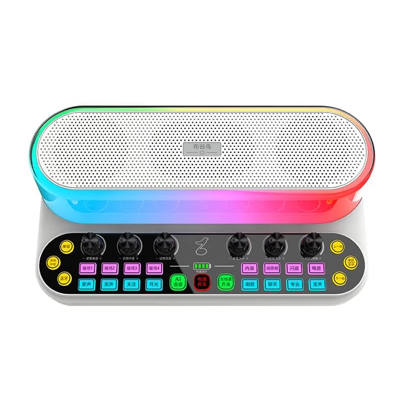 Luci RGB Altoparlante Bluetooth Suono wireless Audio Macchina all-in-one per spettacoli dal vivo Canto all'aperto Danza quadrata Famiglia Karaoke
