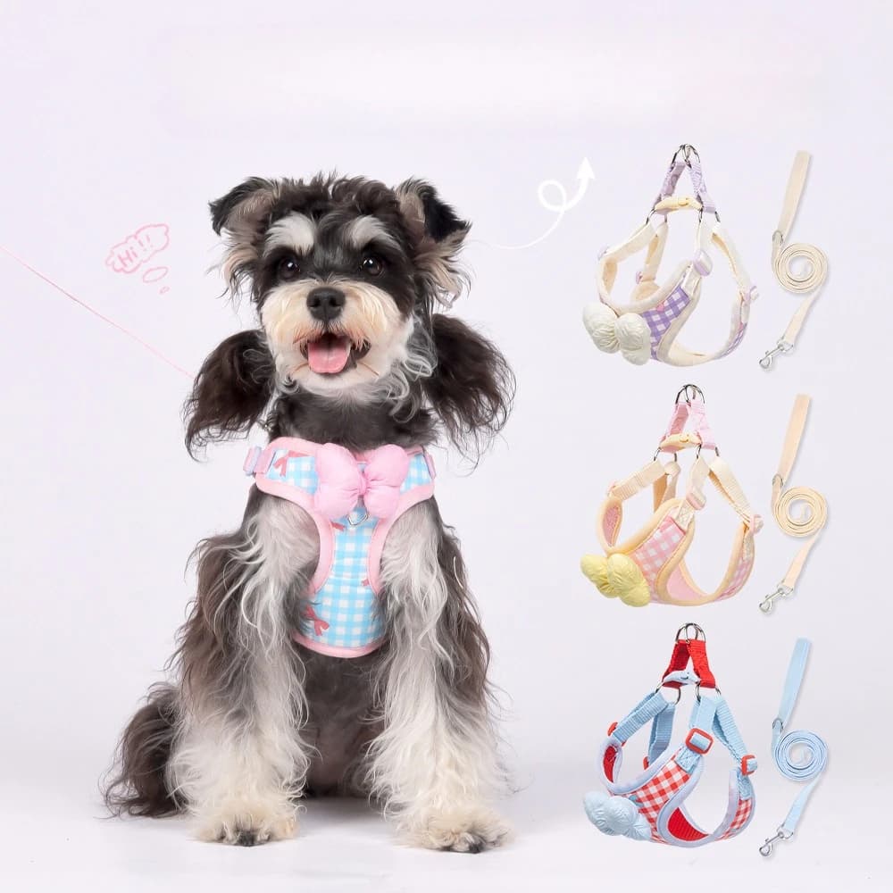 Set di pettorina e guinzaglio per cani con corda di trazione, Dog Bibi Teddy, corda traspirante per passeggiate con il cane