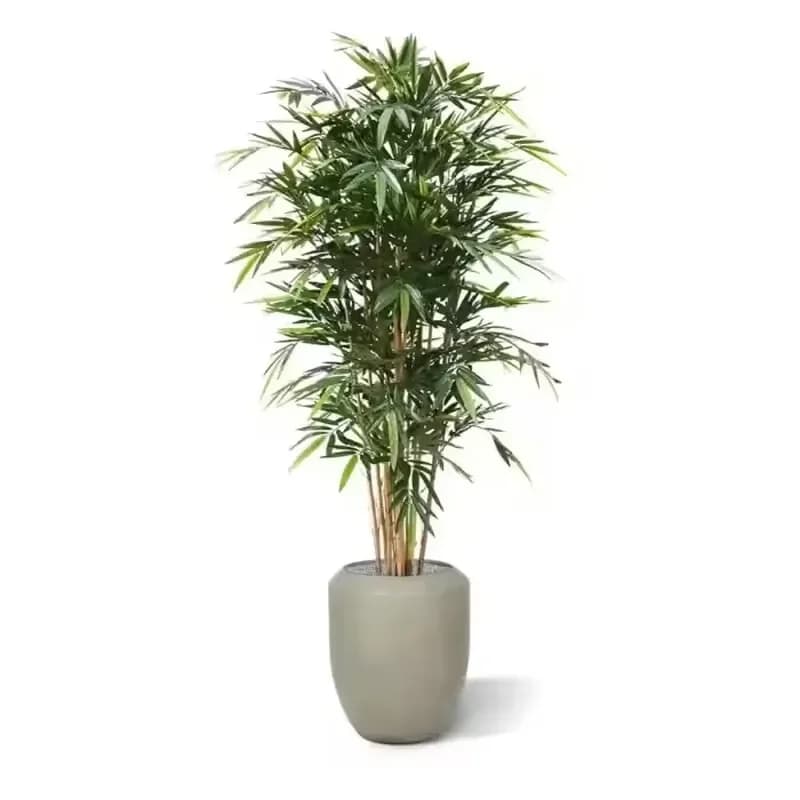 Longstar Artificial Faux Leaves Stems Silk Branches Lucky Bamboo Stalks Tree Plants Graduation Durable UV Resistant for Home