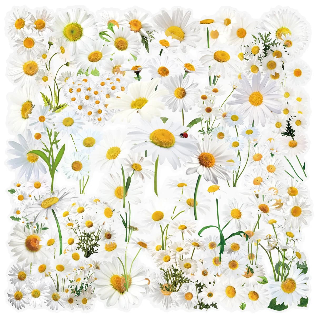 50 pezzi adesivi trasparenti margherita/girasole adesivi decorativi per chitarra notebook PET impermeabile scatola di cancelleria adesivi floreali