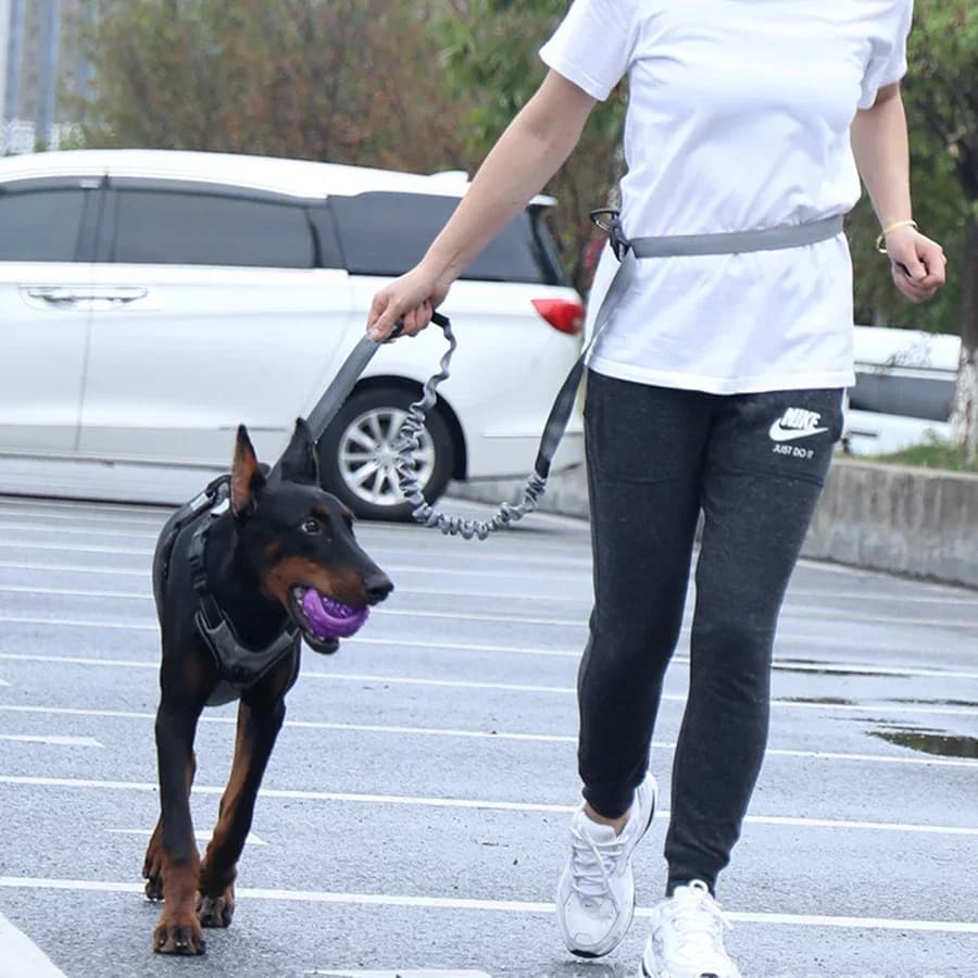 Multifunctional dog walk chain with anti-deflagrant elastic exhaust, traction rope for dogs, pet supplies, running rope