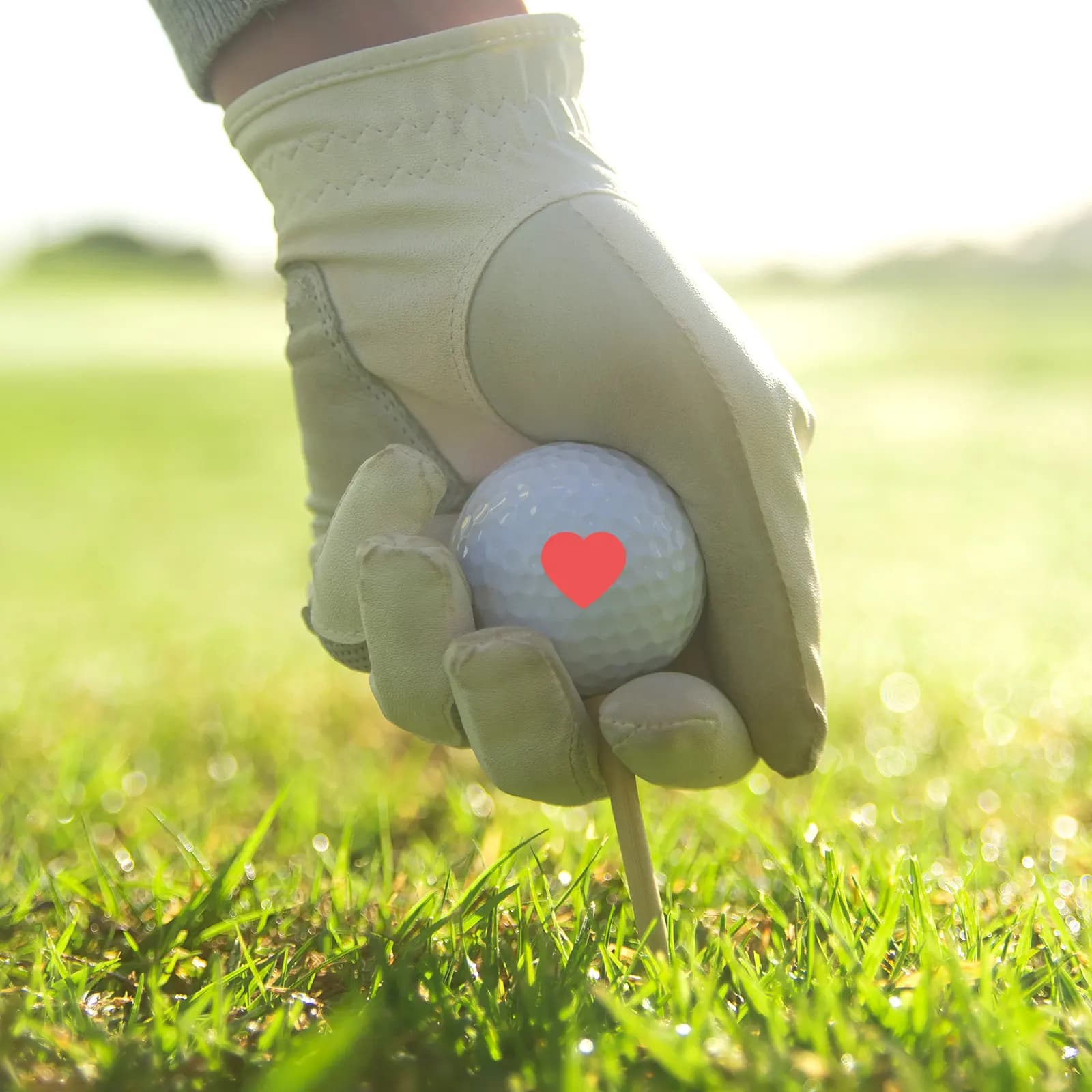 Golf Ball Stamp Portable Reusable Plastic Stamper Tool for Quick Ball Customization Heart Shape Mark Stamp Multi