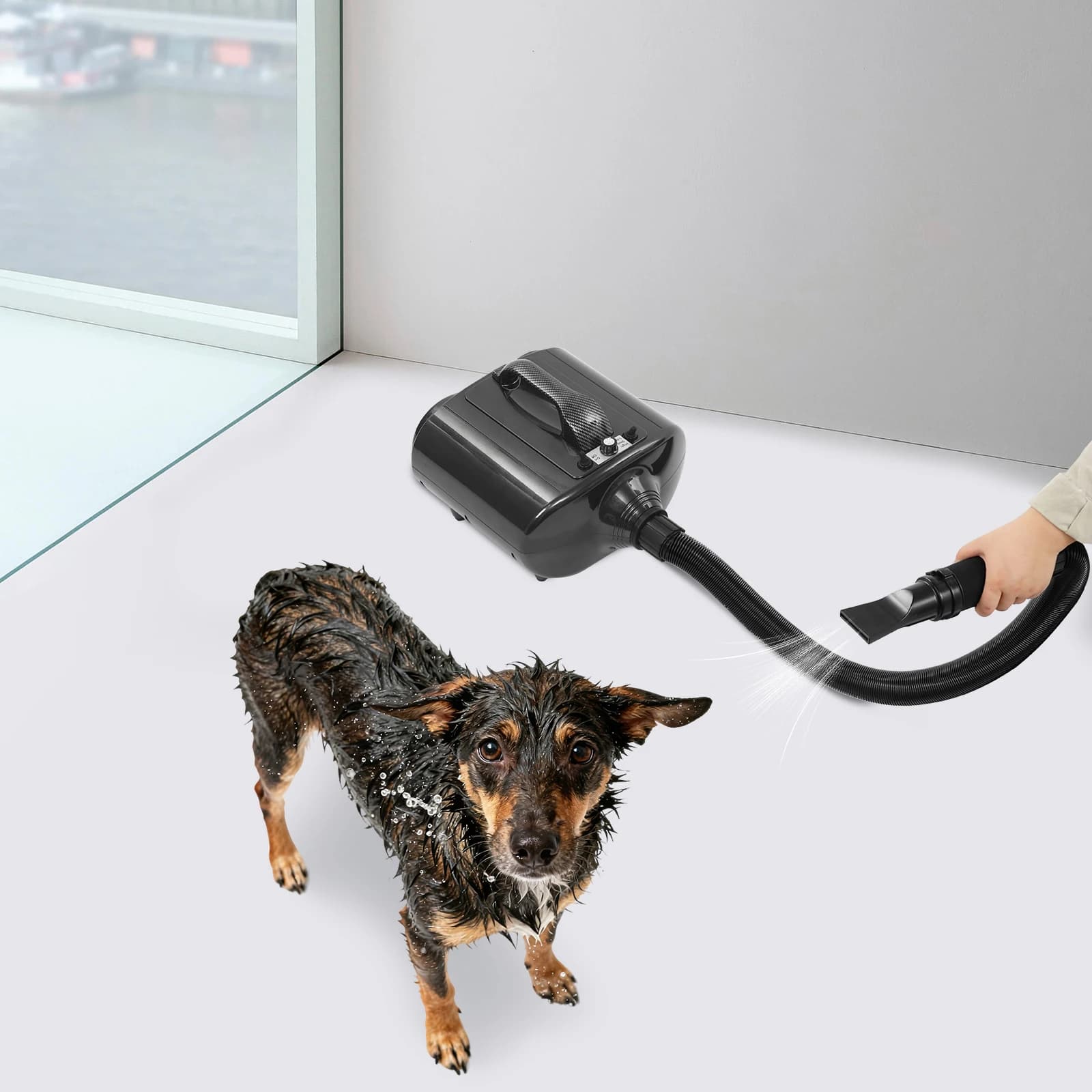 Pet-friendly Hair Dryer Dog Hair Dryer for Double Motor Pets 3600 W