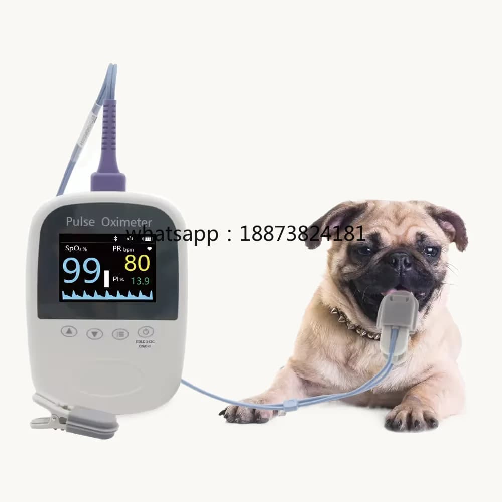 Pulsossimetro veterinario portatile automatico per piccoli animali, con SpO2 e frequenza cardiaca, spedizione rapida