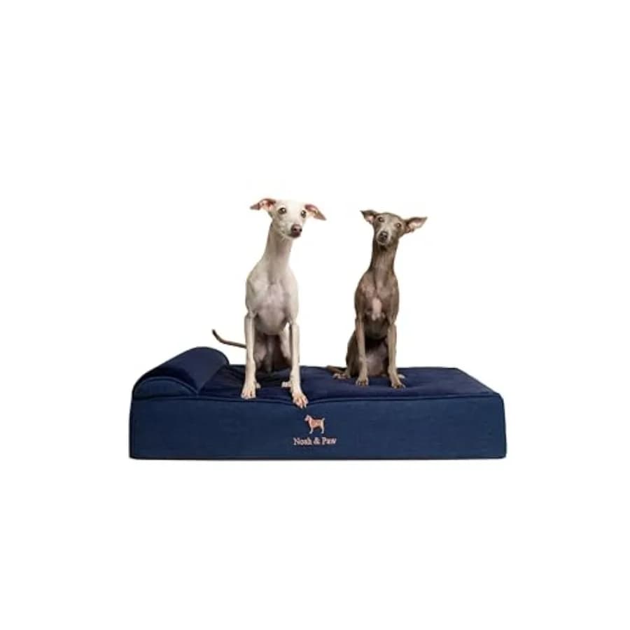 Cuccia per Cani 35x25x8.7 Pollici, Ortopedica in Memory Foam con Gel Rinfrescante, Impermeabile e Lavabile in Lavatrice, Include I