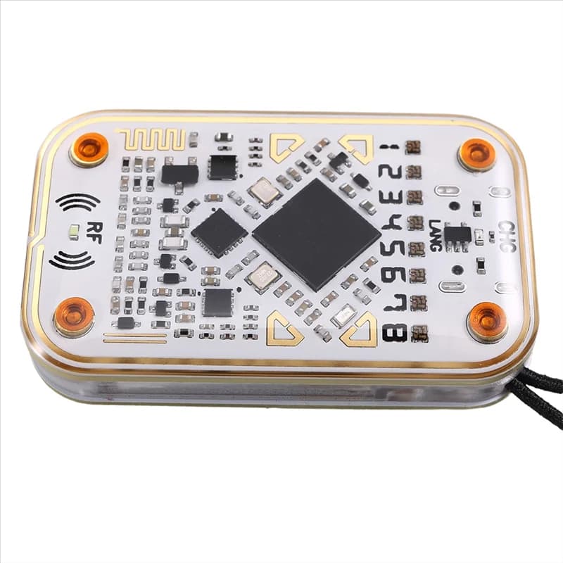 ZIZI Chameleon Ultra RFID Smart Chip Reader + 5XUID Portachiavi Smart Card Emulatore 125K 13.56M IC ID Card Decodifica NFC Lettura Scrittore
