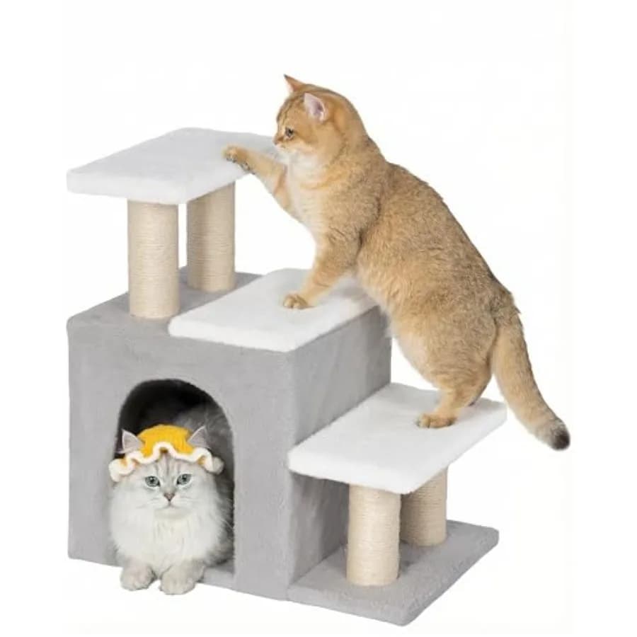Scaletta 3-in-1 per Gatti e Cani, Multifunzionale per Letti Alti e Divani, per Cani Piccoli e Conigli, Altezza 19'' Beige Taglia Media