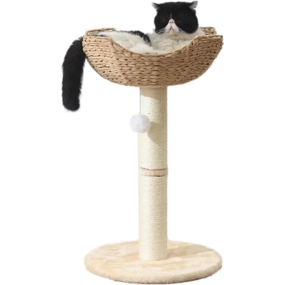 SHENGOCASE Piccola torre per albero per gatti con grande cestino in vimini rattan da 17,7", letto con cestino nido intrecciato a mano, posatoio per finestre per gatti di grandi dimensioni