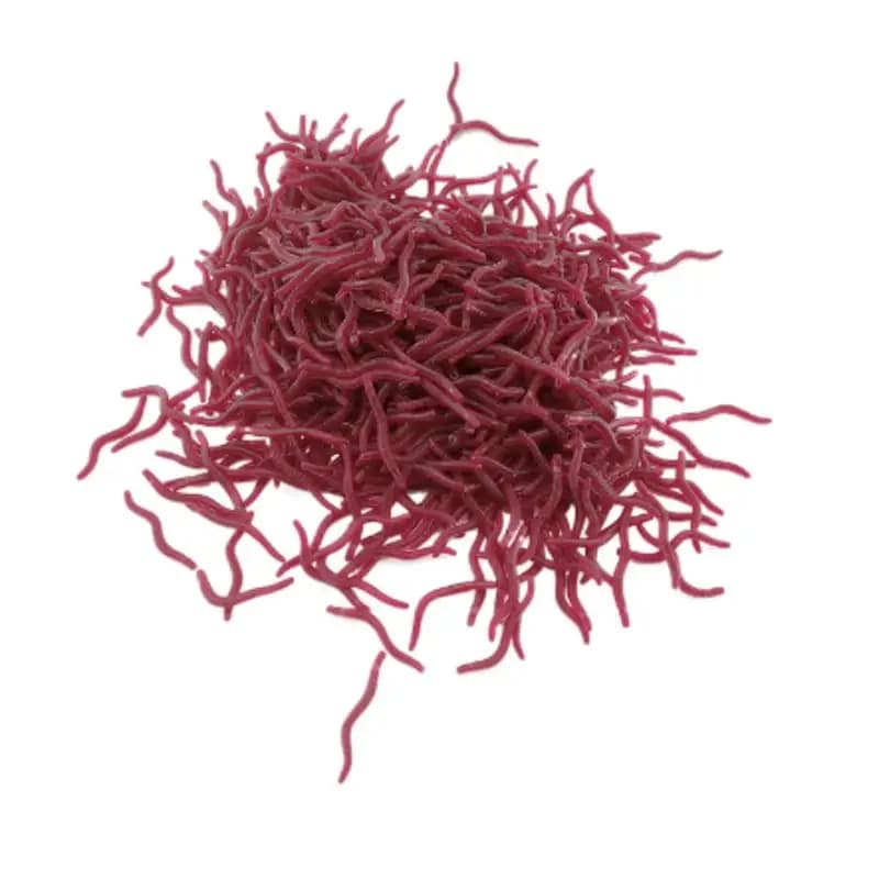 100PCS Recall Soft Bass Orate Blood Basin Fishing Lombrico Verme Rubber Red Veins Fish Odor Fish Realistic Equipment