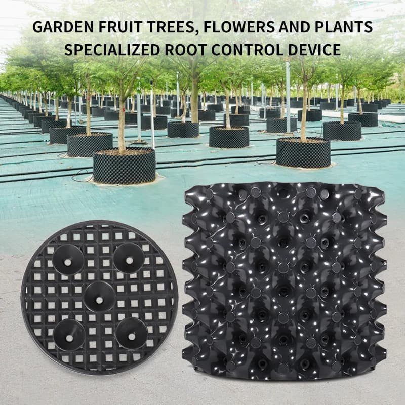 Nursery vases for plant roots control, containers for rapid growth of roots, tools for transplanting garden and bonsai trees, quick nursery pot