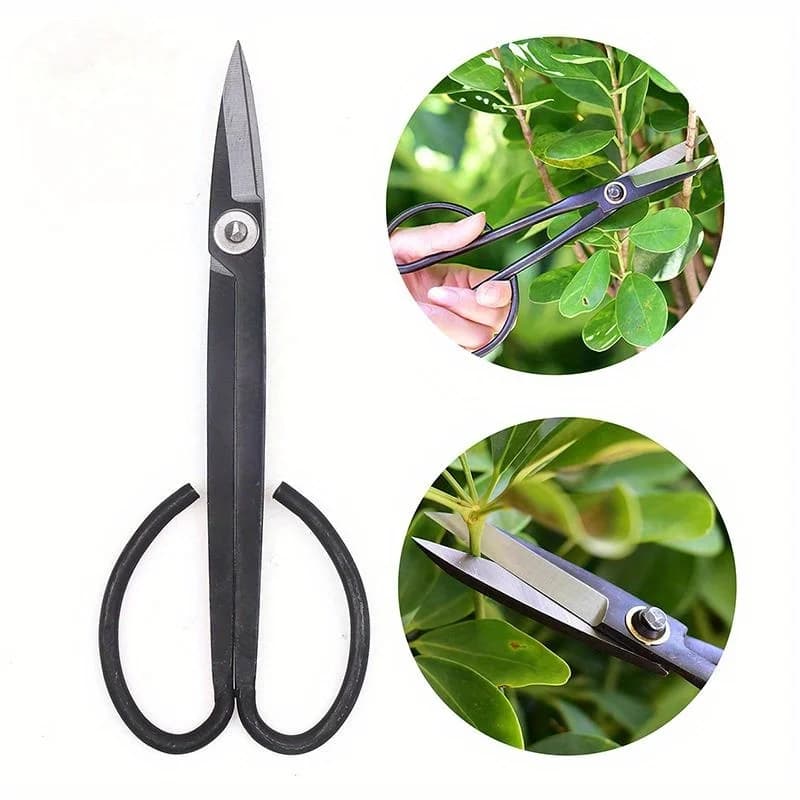 Garden garden scissors Power of branches of trees and plants Remove of leaves Cutting tools Long handle scissors for bonsai
