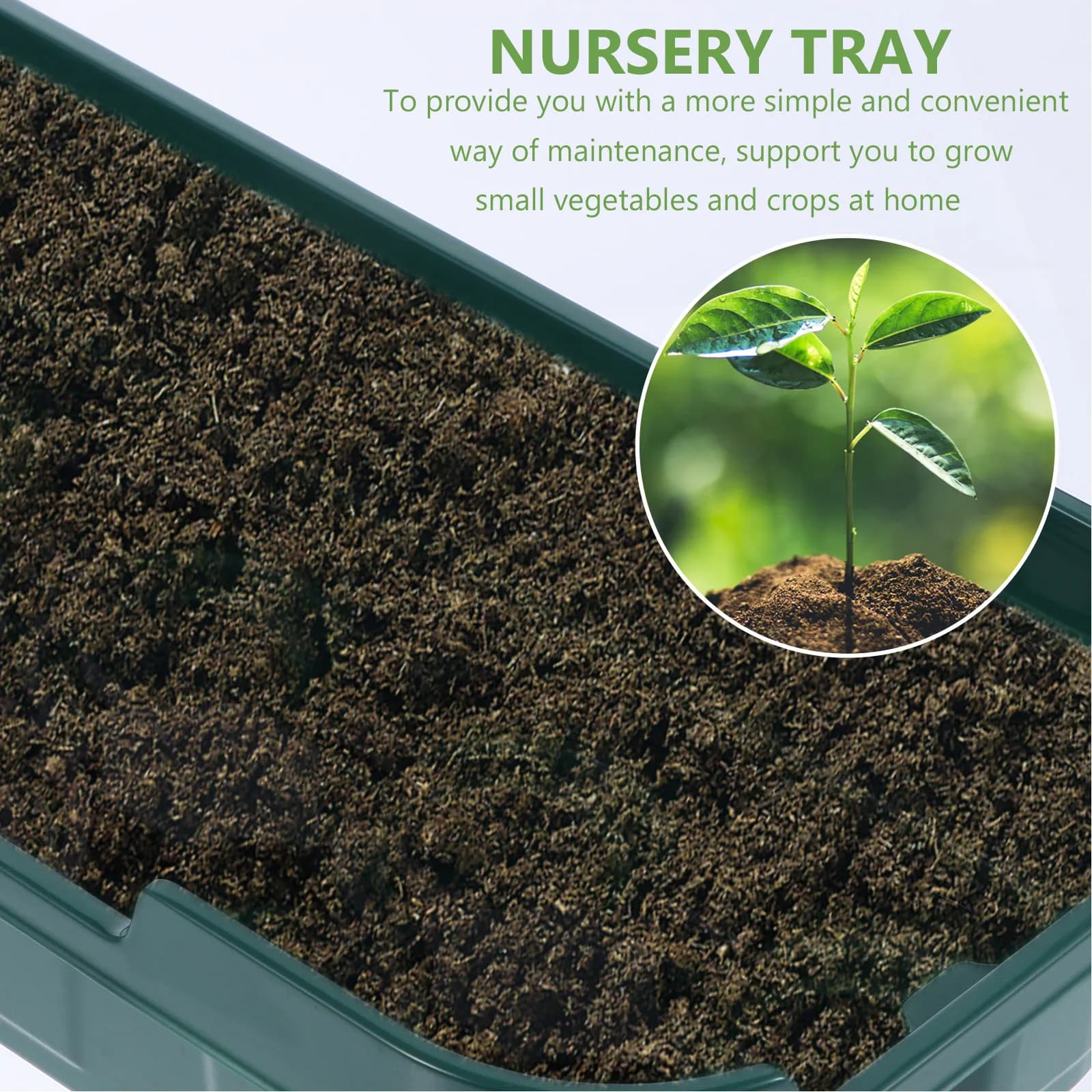 Set of 5 Trays for Germination Seeds, Plastic Vivary Box with Transparent Cover, Small Plants and Flowers Tray
