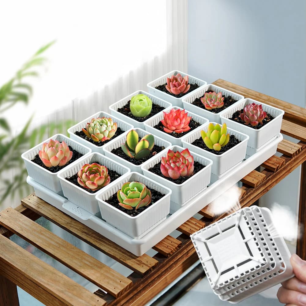 Meshpot Succulent Vase Plastic Flower Jar Cactus Litop Planter Container Vivary Plants Garden Furnishings Home Decoration