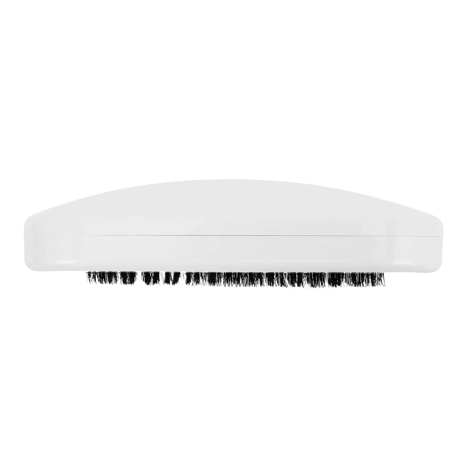 Rullo Spazzola Rimuovi Peli di Animali Domestici Riutilizzabile, Strumento di Pulizia Efficiente per Divano, Letto, Tappeti, Mobili, Rimozione Peli di Cani e Gatti, Portatile