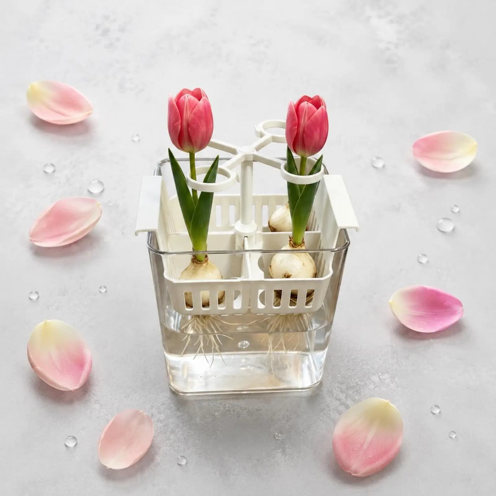 Vaso per Fiori Idroponico con Cestello Integrato, Vaso da Tavolo per Forzatura Fiori, Fioriera a 3 Scomparti per Bulbi, in Plastica Riutilizzabile per Interni