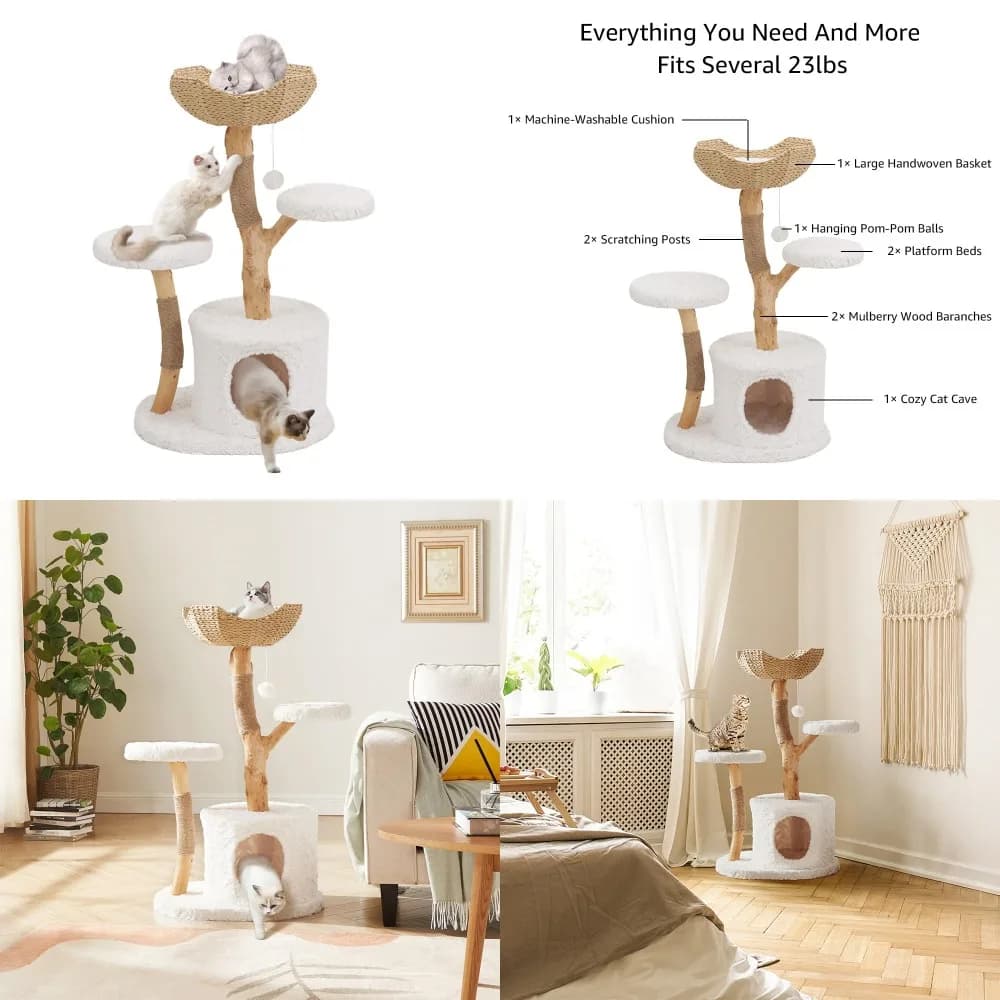 Torre per Gatti Moderna per Gatti Piccoli e Grandi, Lussuosa Cuccia per Gatti in Vero Legno Massello con Tiragraffi e Personalizzabile