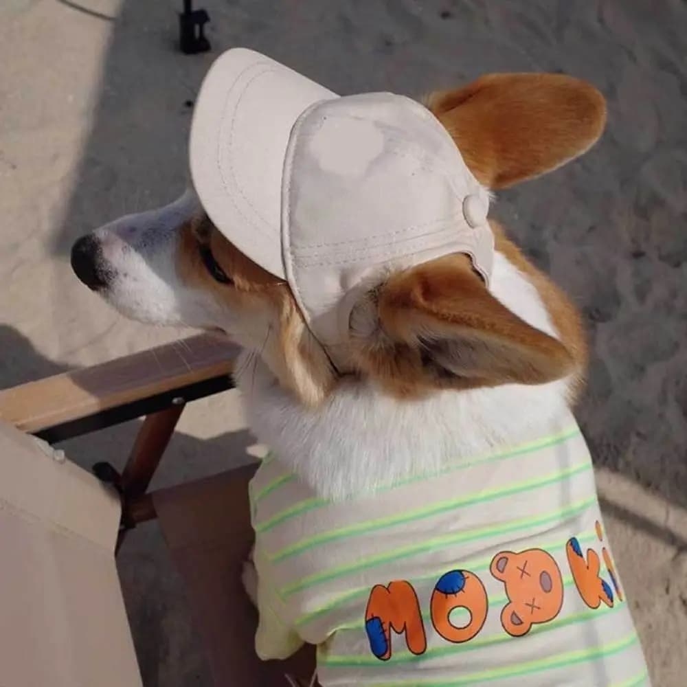 Pet Visor Hat Ear Holes Dog Baseball Cap Cowboys Style Adjustable Pet Hat UV Protection Cute Sun Cap Outdoor Sports