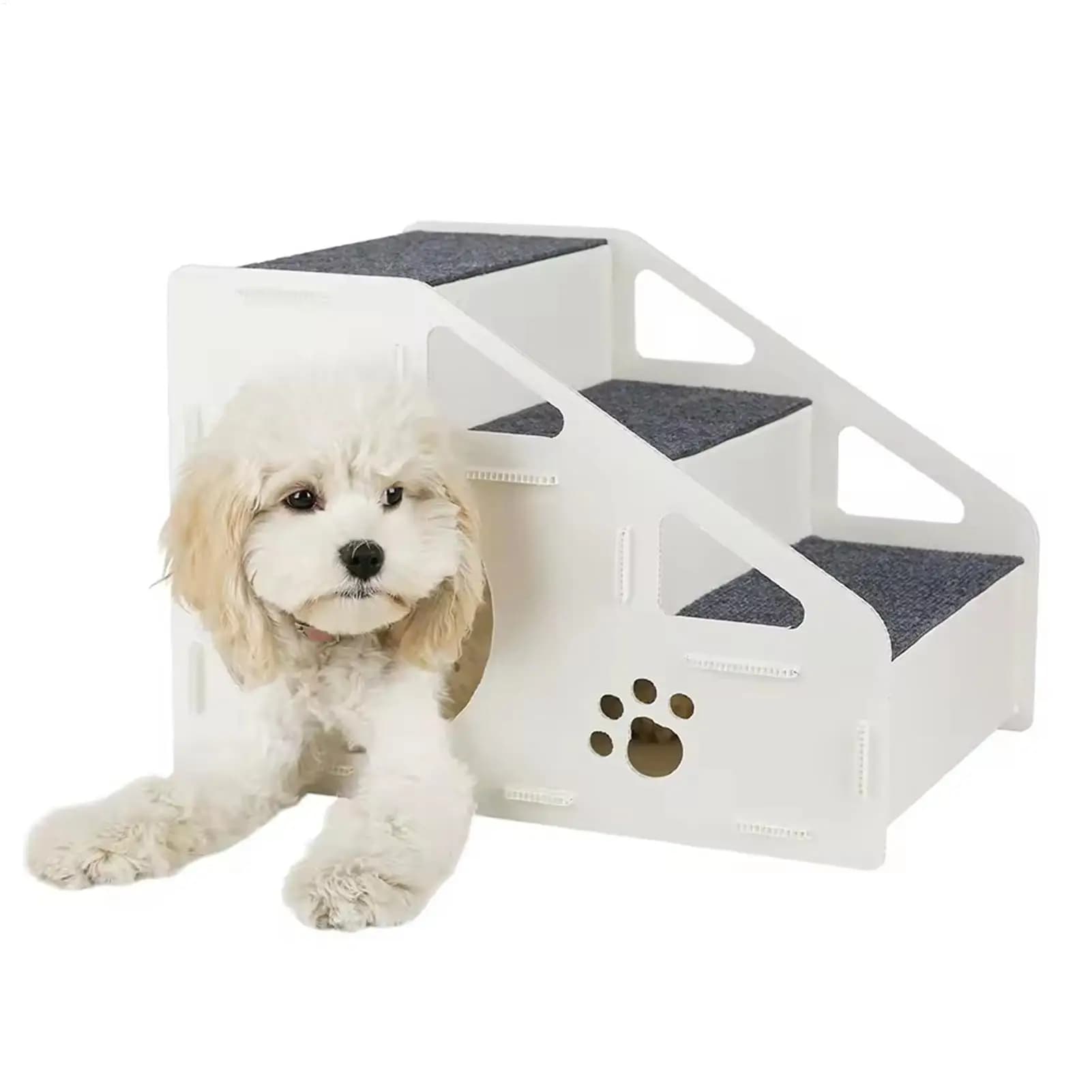 Scaletta per Cani 2 in 1 Pieghevole, Rampa e Scala per Cuccioli, per Soggiorno e Camera da Letto, per Cani, Gatti e Gattini