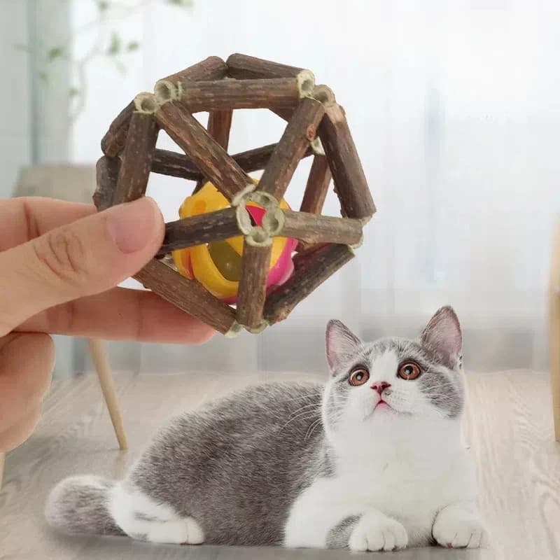 Giocattolo con palla di erba gatta in legno naturale-soluzione da masticare e da gioco per gatti