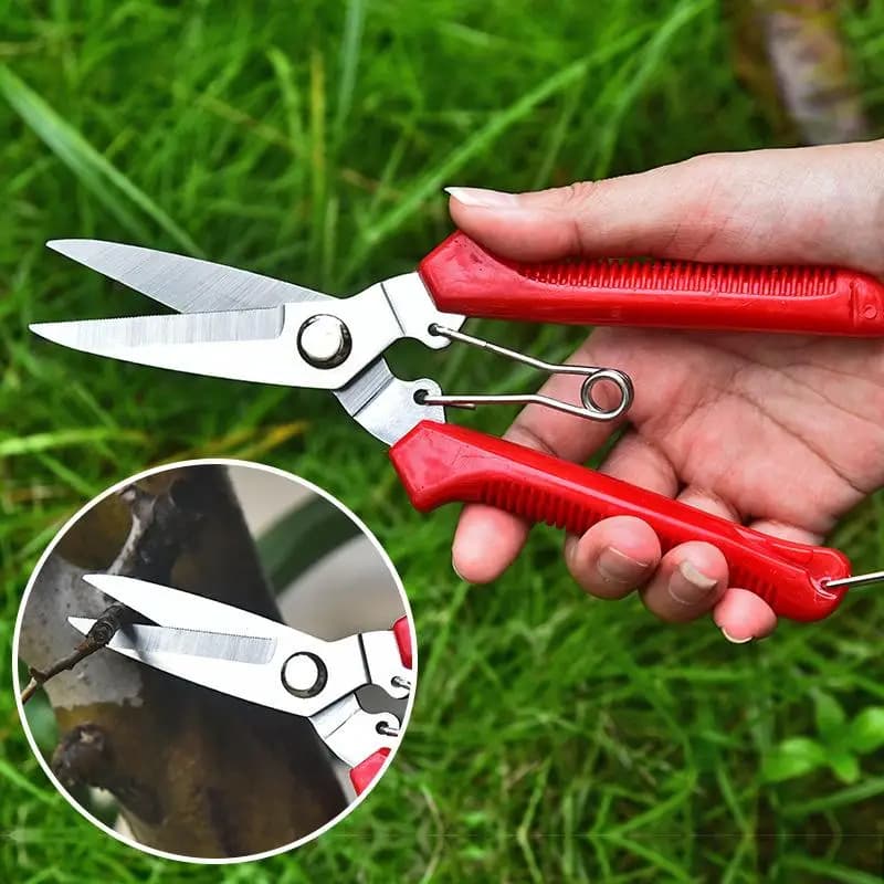 (BF06)Garden Scissor Straight Head Pruning Shear Non-slip Handle Stainless Steel Outils Manuels Household Bonsai Pruing Scissor