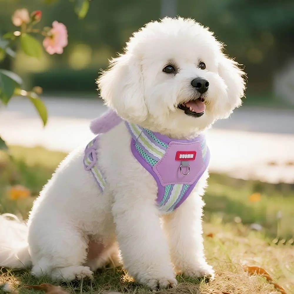 Pettorina per Cani Anti-Fuga Soft Comfortable con Sistema Quicklace, Traspirante, per Passeggiate all'Aperto