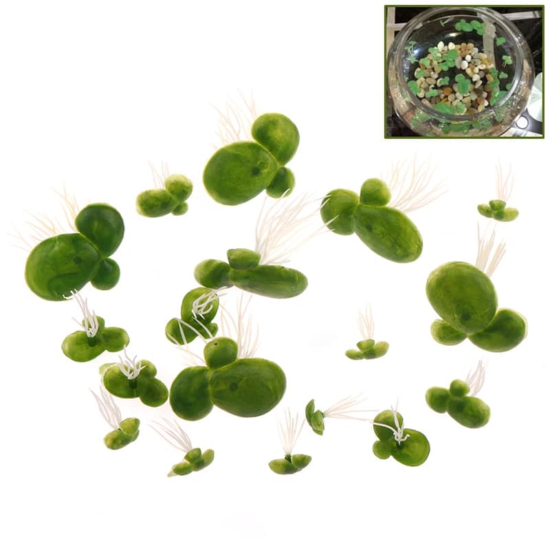 (Summer6) Set of 18 Pieces Aquarium Decorations, Artificial Floating Plants with Water Garden Radici