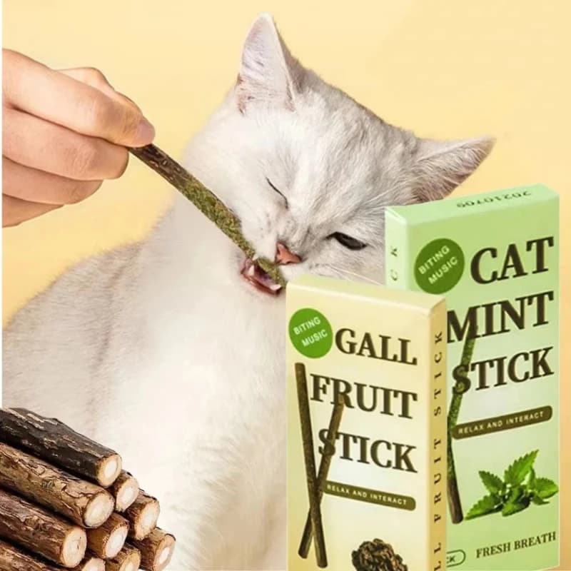 1/2/4 Pezzi Bastoncini Naturali di Matatabi per Gatti, Bastoncini da Masticare Naturali alla Catnip, Giocattoli da Masticare per la Pulizia dei Denti di Gatti e Gattini