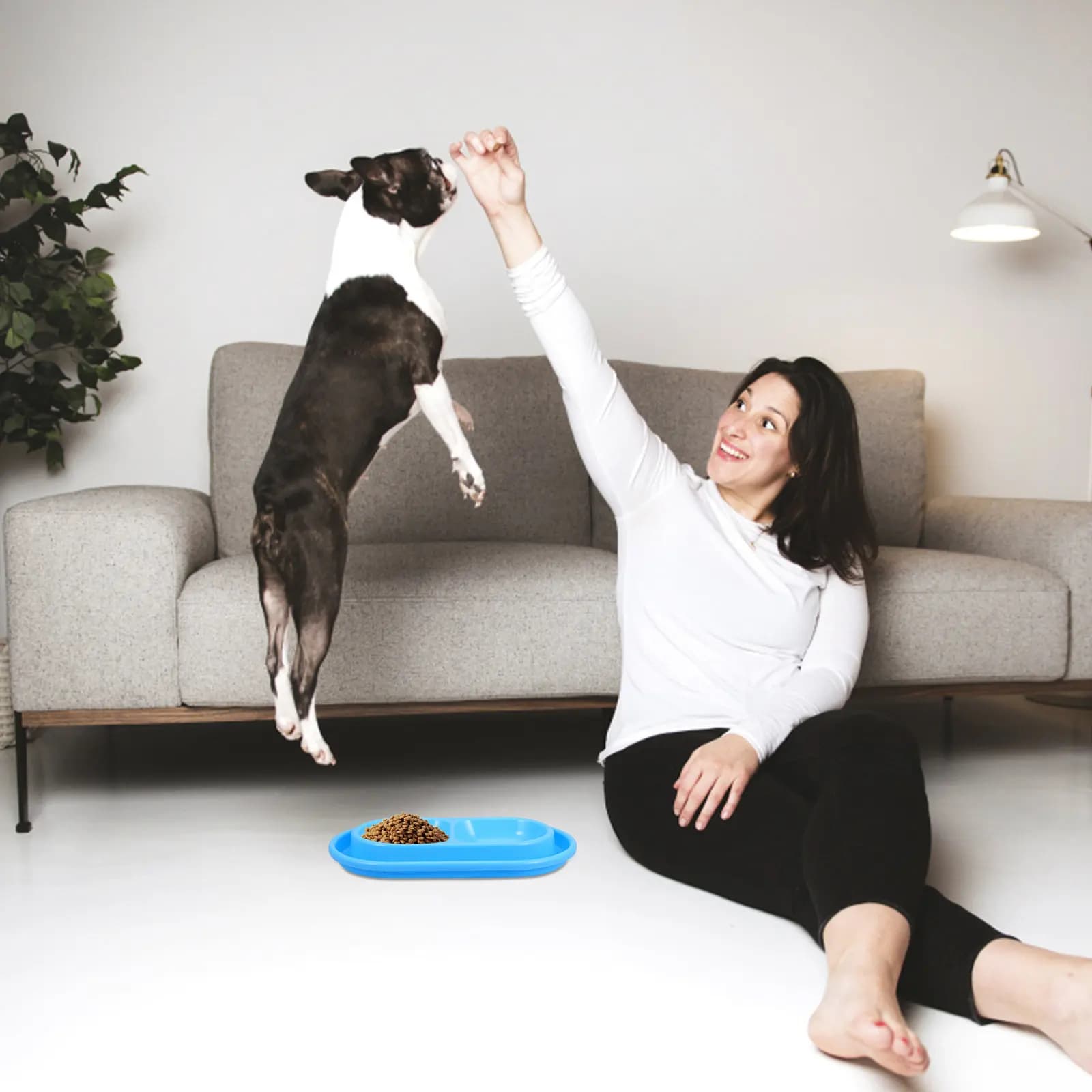 Ciotola Anti-antipatico per Gatti Blu con Doppio Scomparto, Stazione di Alimentazione per Gatti Piccoli e Gattini, Uso Interno ed Esterno, Anti-Rovesciamento