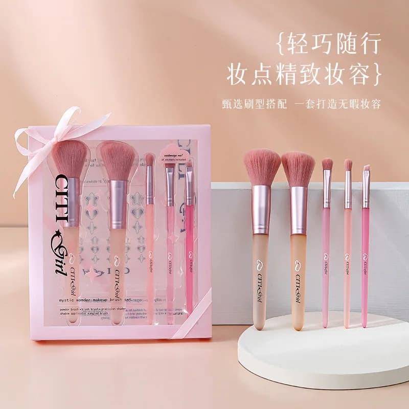 Set di 5 Pennelli da Trucco Rosa a Setole Morbide - Kit Completo Professionale in Scatola per Fondotinta, Correttore, Cipria, Blush e Ombretto