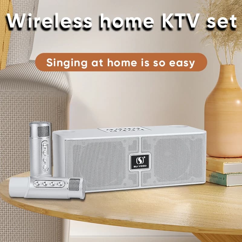 Dual Microphone Karaoke Machine for Adults and Kids Portable Bluetooth PA Speaker System with 2 Wireless Microphones for Home