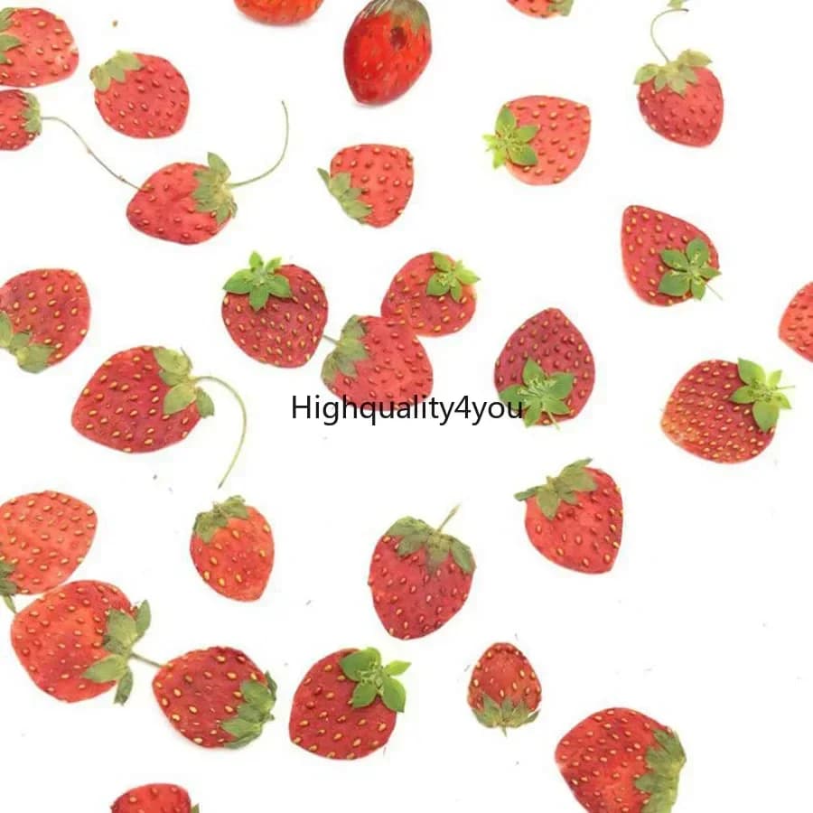 10 pz essiccato pressato Mini frutta fragola buccia fette pianta erbario per gioielli cornice per foto cassa del telefono segnalibro cartolina fai da te