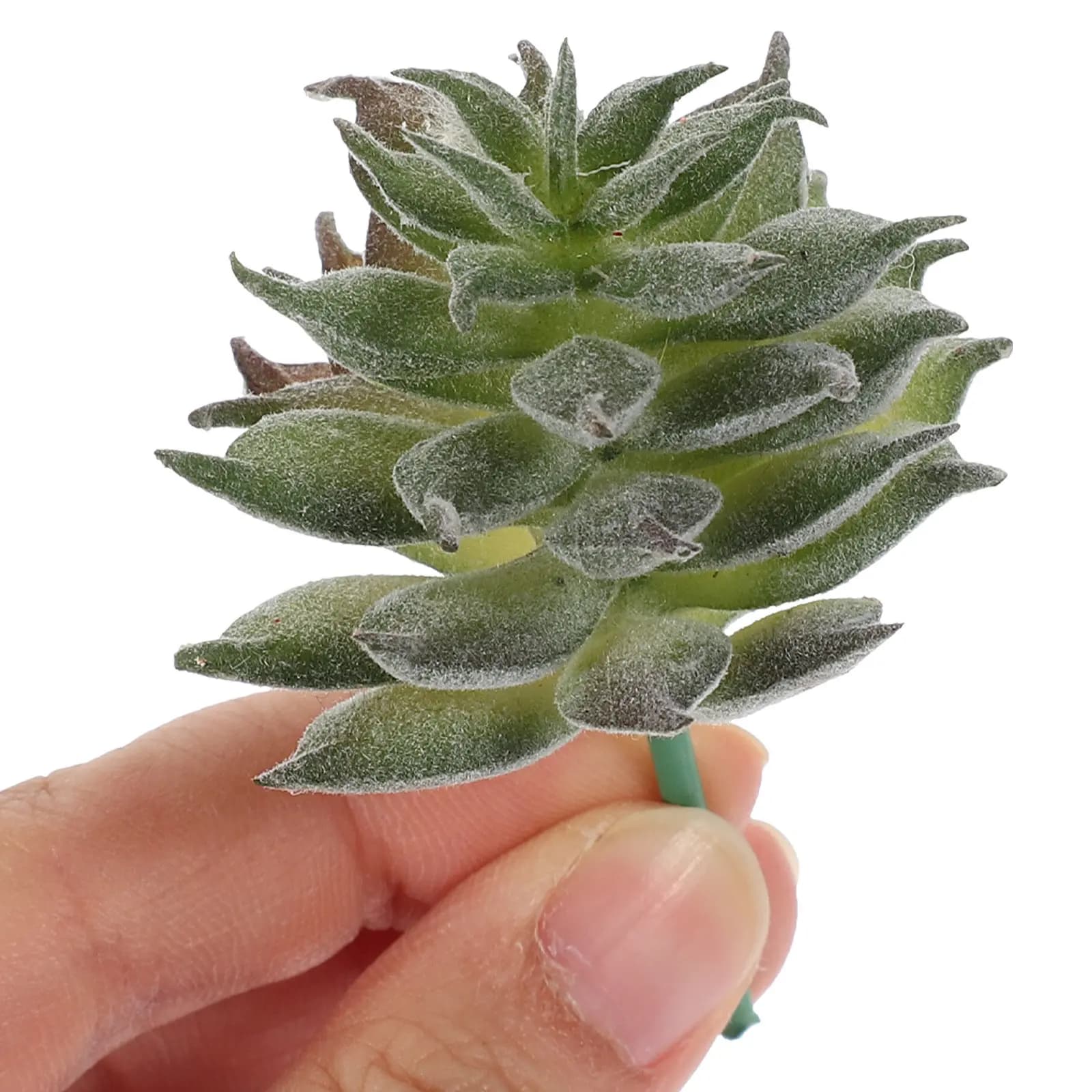 6Pcs Artificial Succulent Plant Faux Plastic Simulation Decor for Home Office Desktop Floor Windowsill Realistic Fake Plant