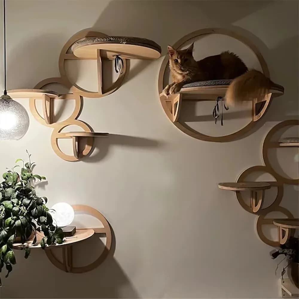 Scaffali da parete circolari in legno per gatti. Mobili da gioco per gatti. La costruzione robusta fornisce un punto accogliente e alla moda per i gatti lounge e esplorare